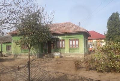 Casă cu 4 camere cu Teren 1600 Mp în Goicea