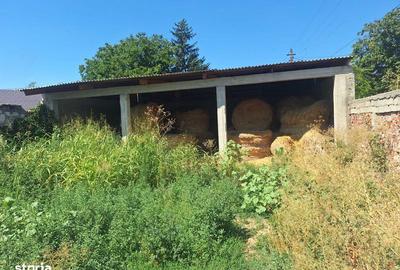 Teren de 300 mp, în Ștorobăneasa - 1