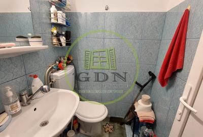 Garsonieră semidecomandată în Craiovița Nouă - 3