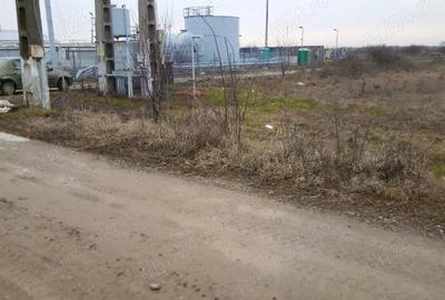 Teren de 5556 mp, în Dragomirești