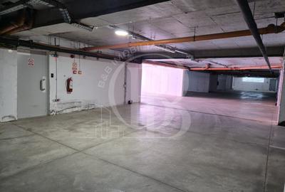 Apartament cu 2 camere decomandat, mobilat în Theodor Pallady - 13