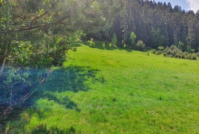 Teren Construcții intravilan de 5000 mp, în Săcele - 1