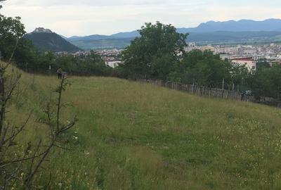 Teren de 750 mp, în Bejan - 8