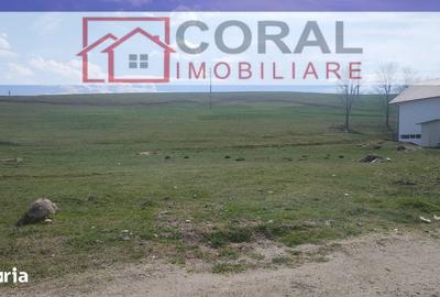 Teren de 4800 mp, în Central