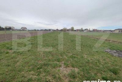 Casă cu 4 camere cu Teren 2500 Mp în Horodnic - 4