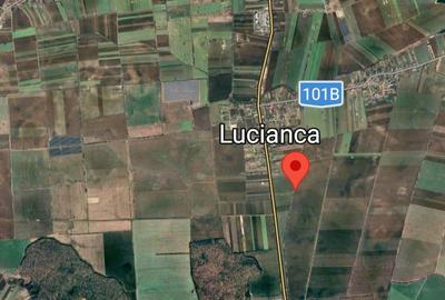 Teren agricol extravilan de 5000 mp, în Lucianca - 1