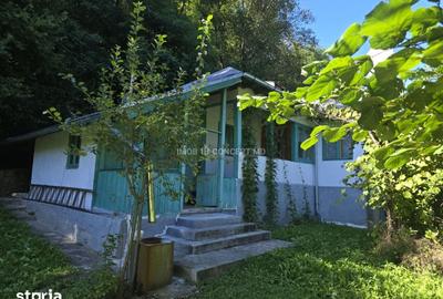 Casă cu 3 camere cu Teren 3159 Mp în Cărbunești