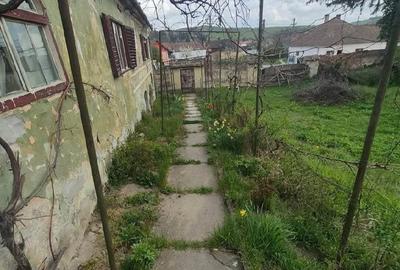 Casă cu 3 camere cu Teren 4000 Mp în Vurpăr - 3
