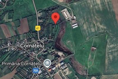 Teren de 5452 mp, în Cornățelu - 1