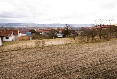 Teren Construcții intravilan de 2261 mp, în Tinăud - 10
