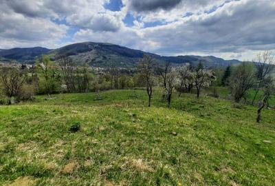 Teren intravilan de 2500 mp, în Teșila - 3