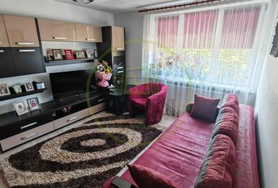 Apartament cu 2 camere semidecomandat, mobilat în Brazda lui Novac - 2