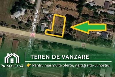 Teren de 1300 mp, în Călțuna