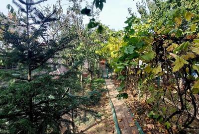 Casă individuală cu 3 camere cu Teren 250 Mp în Bucureștii Noi - 13