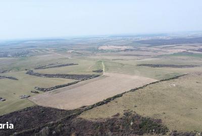 Teren de 268200 mp, în Ardud - 5