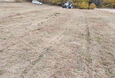 Teren de 10000 mp, în Bratca - 3