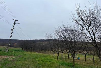 Teren Construcții intravilan de 500 mp, în Hidișelu de Sus - 6