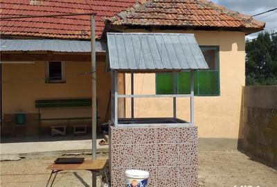 Casă cu 3 camere cu Teren 10000 Mp în Gherteniș - 8