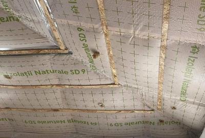 Casă cu 5 camere cu Teren 350 Mp în Șura Mică - 11