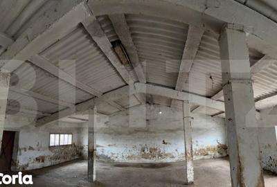 Spațiu comercial, de 740 mp, în Iratoșu - 3