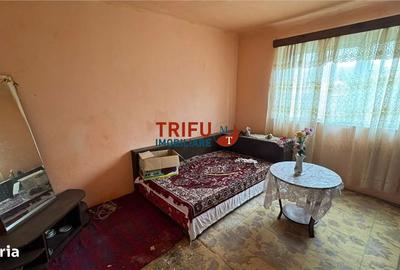 Casă cu 3 camere cu Teren 537 Mp în Ighiu - 7