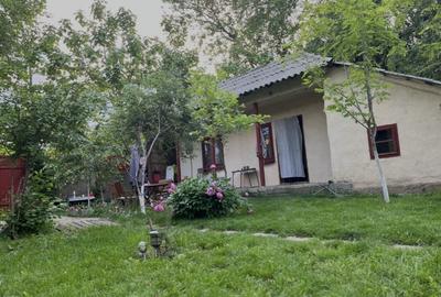 Spațiu comercial, în Oinacu - 5