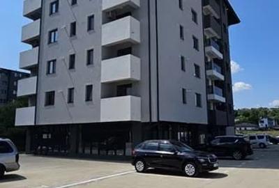 Apartament cu 2 camere semidecomandat în Vișani