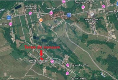 Teren Construcții intravilan de 1000 mp, în Glăjărie - 6