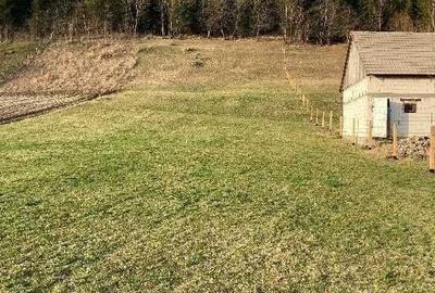 Teren de 3000 mp, în Frumoasa