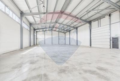Spațiu industrial, de 600 mp, în Traian - 20