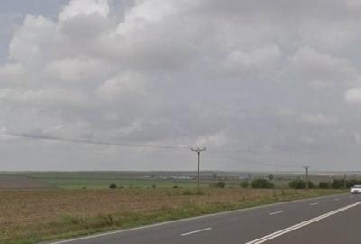 Teren Construcții extravilan de 25000 mp, în Mihail Kogălniceanu - 4