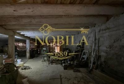 Spațiu comercial, în Agăș - 11