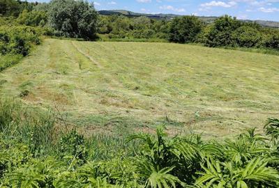 Teren de 5000 mp, în Bucov - 5