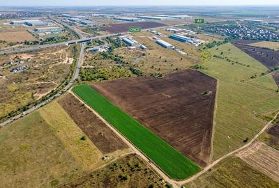 Teren Construcții extravilan de 5002 mp, în Glina - 2