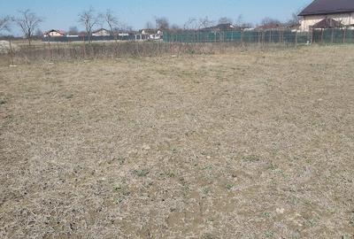 Teren de 5500 mp, în Ruși-Ciutea - 7