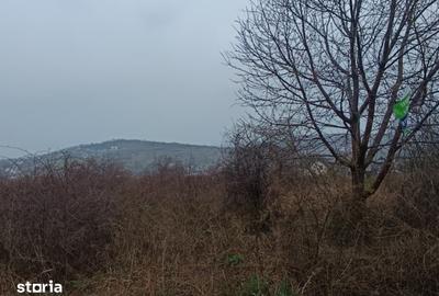 Teren de 11000 mp, în Tomești - 2