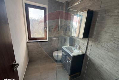 Casă cu 4 camere cu Teren 1190 Mp în Podgoria - 9