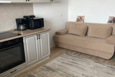 Apartament cu 2 camere decomandat în Paltin