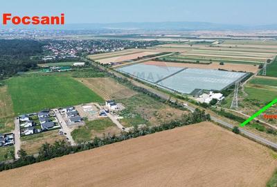 Teren agricol extravilan de 315258 mp, în Vânători - 3