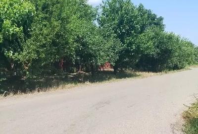 Casă cu 4 camere în Izvoarele