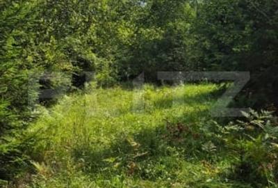 Teren Construcții de 15621 mp, în Câmpulung Moldovenesc