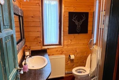 Duplex cu 6 camere cu Canalizare în Cavnic - 15