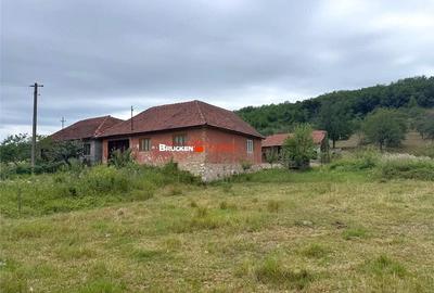 Teren de 60000 mp, în Beiușele