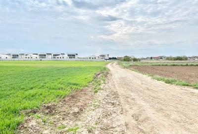 Teren Construcții intravilan de 4657 mp, în Corbeanca - 11