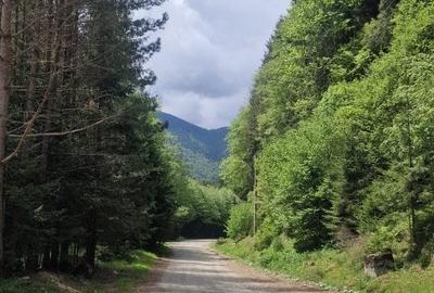 Teren Construcții intravilan de 1775 mp, în Sătic - 13