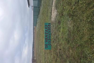 Teren de 603 mp, în Gepiu
