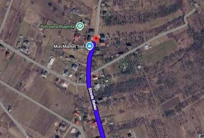 Teren de 1000 mp, în Chicerea
