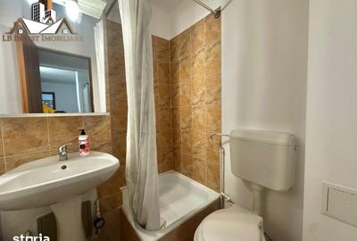 Apartament cu 4 camere, mobilat în Bucovina