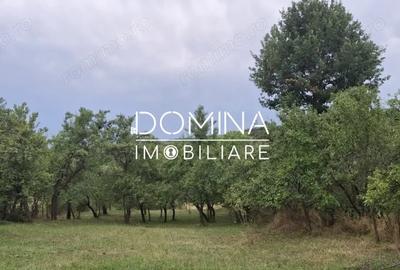Casă cu 2 camere cu Teren 6770 Mp în Bengești - 2
