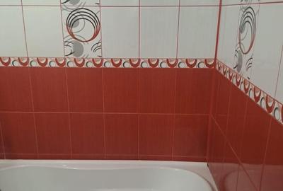 Apartament cu 2 camere semidecomandat în Brazda lui Novac - 1